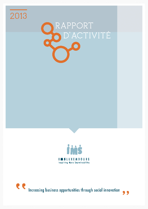 IMS Luxembourg Activity Report 2013